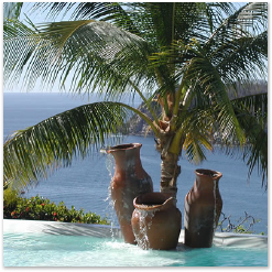 Pool, palm tree and ocean view at Villa Tres Hermanas.
